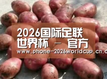 产品展示标题5(图1)