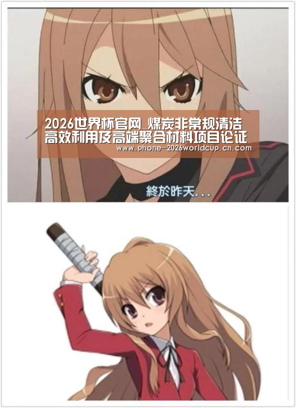 2026世界杯官网_煤炭非常规清洁高效利用及高端聚合材料项目论证会举行(图3) 世界杯买球