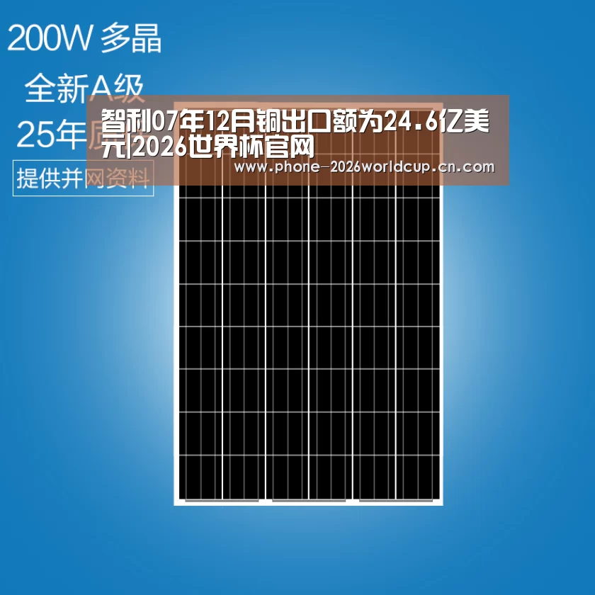 智利07年12月铜出口额为24.6亿美元|2026世界杯官网(图2) 2026世界杯
