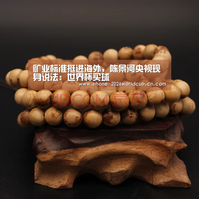 矿业标准挺进海外,陈景河央视现身说法:世界杯买球(图2) 2026世界杯官网
