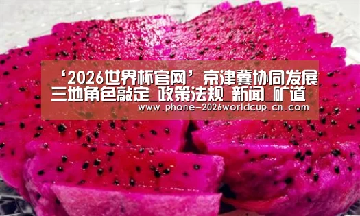 ‘2026世界杯官网’京津冀协同发展三地角色敲定_政策法规_新闻_矿道网(图4) 世界杯买球
