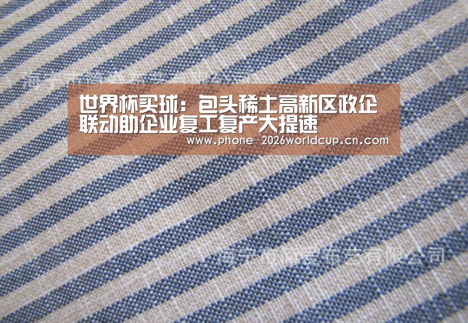 世界杯买球:包头稀土高新区政企联动助企业复工复产大提速(图1) 2026世界杯